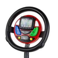 Sat Nav Steering Wheel